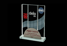 Лідер галузі від інформаційного порталу DELO